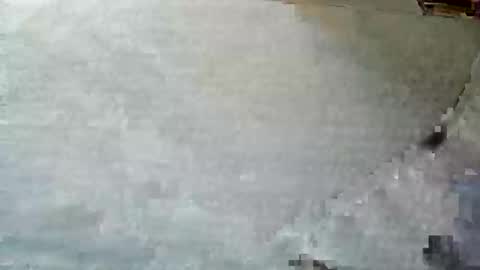 frenchpapalover online show from 12.05.24