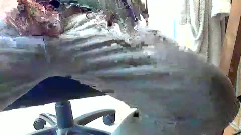 frenchpapalover online show from 02.28.25