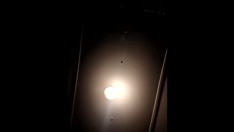 funncountry online show from 01.03.25