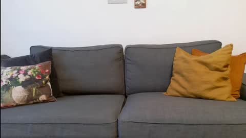 funservice online show from 12.17.24