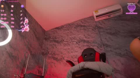 Snapshot of gabrielagreco_ chatting on 01.24.25 GABRIELA online show from 01.24.25