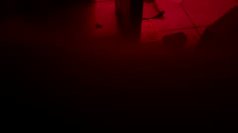 garrick358091 online show from 11.03.25