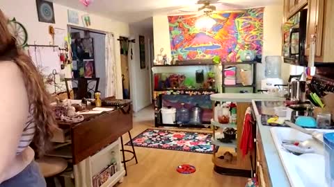 Snapshot of goodgirlcelestecat chatting on 11.21.25 goodgirlcelestecat online show from 11.21.25