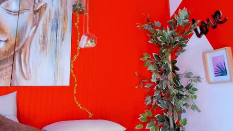 grace online show from 02.20.25