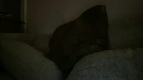 Snapshot of greenlova chatting on 12.25.24 Sonny online show from 12.25.24