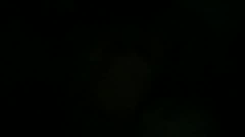 Snapshot of greenlova chatting on 09.27.25 Sonny online show from 09.27.25