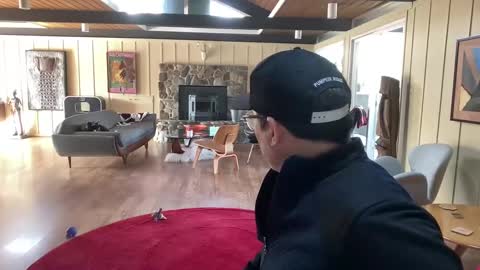 Snapshot of groovycouvie chatting on 03.01.25 groovycouvie online show from 03.01.25