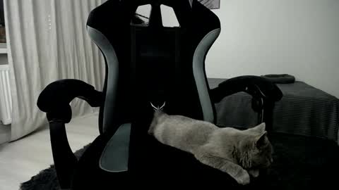 Adam online show from 01.10.25