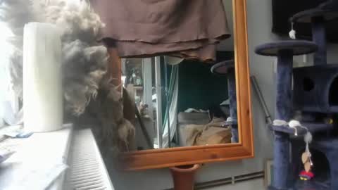 Snapshot of handncocknocum chatting on 12.09.24 handncocknocum online show from 12.09.24