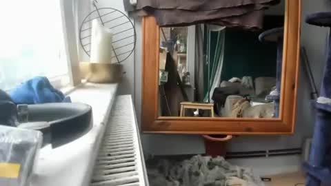 Snapshot of handncocknocum chatting on 12.17.24 handncocknocum online show from 12.17.24