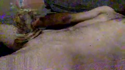 Snapshot of hardiebois chatting on 11.02.25 Micheal online show from 11.02.25