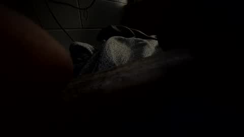 Snapshot of hartwell84 chatting on 01.23.25 J Hart online show from 01.23.25