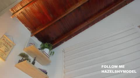 Snapshot of hazel_shy chatting on 12.13.24 Im Hazel online show from 12.13.24