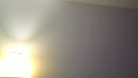 Snapshot of heatwavee chatting on 11.13.25 heatwavee online show from 11.13.25