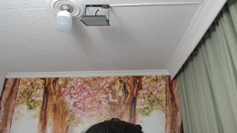 Snapshot of hellen_garcia chatting on 12.19.24 Hellen online show from 12.19.24