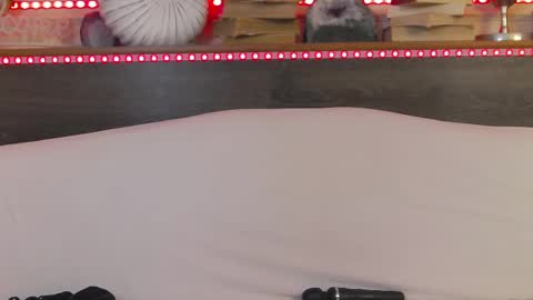    online show from 02.22.25