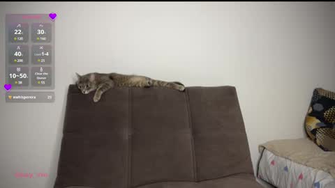 Snapshot of holybabe342 chatting on 03.01.25 Vio online show from 03.01.25