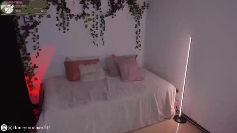 Snapshot of honeymoontea chatting on 02.24.25 online show from 02.24.25