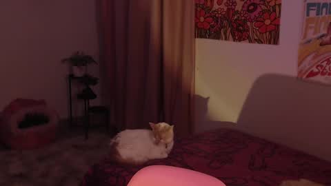 Snapshot of honeyypeaach chatting on 12.18.24    online show from 12.18.24