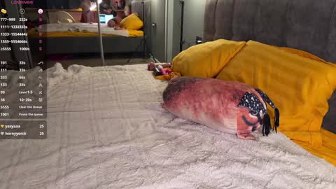 Snapshot of howtoreachorgasm chatting on 12.23.24 Elizabeth online show from 12.23.24