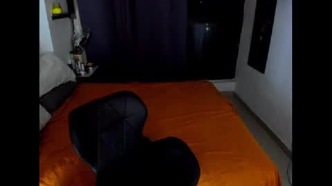 Snapshot of hugedaneska chatting on 01.31.25 Danezka online show from 01.31.25