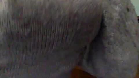 Snapshot of hunyybunz chatting on 03.01.25 Goddess Hunyy online show from 03.01.25