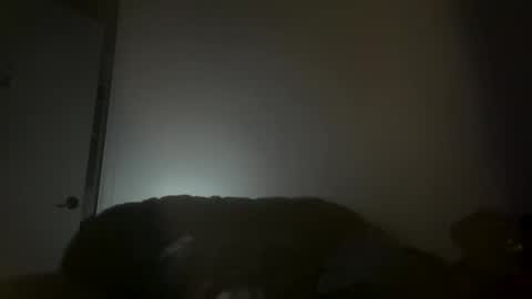 Snapshot of hustlemacc chatting on 11.16.25 hustlemacc online show from 11.16.25