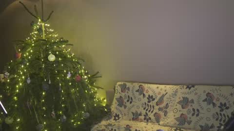 Snapshot of ifyouleave chatting on 01.04.25 Belle online show from 01.04.25