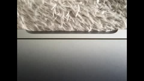 Snapshot of ijaisi chatting on 09.14.25 Morvoys online show from 09.14.25