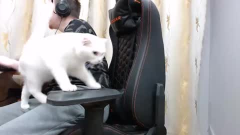 lord online show from 11.07.25