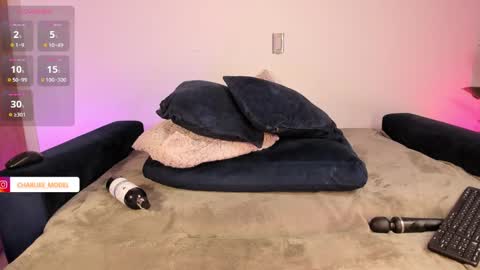 Snapshot of im_charliee chatting on 01.24.25 charlie online show from 01.24.25