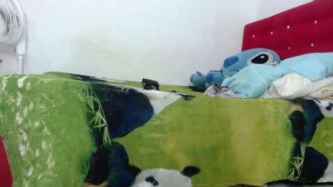 Indian online show from 03.08.25