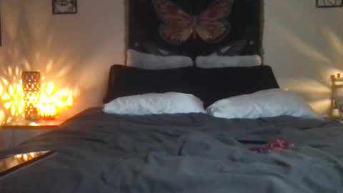 Snapshot of indigobay chatting on 02.16.25 Indigo Bay online show from 02.16.25