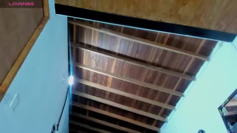 Snapshot of ink_demon chatting on 12.29.24 demon online show from 12.29.24