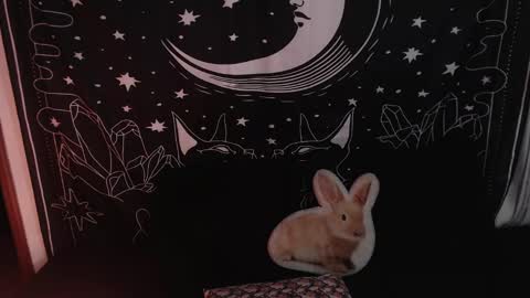 Snapshot of isabella__dark chatting on 01.23.25 online show from 01.23.25