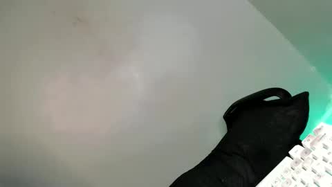 Bella online show from 02.21.25