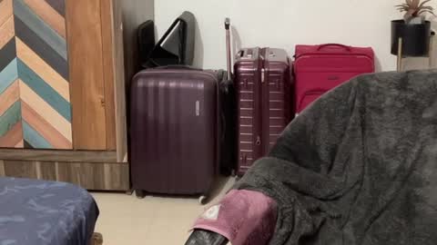 Raje online show from 10.04.25