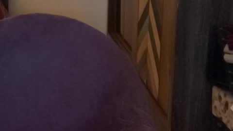 Raje online show from 11.15.25