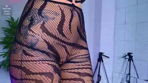 Celine online show from 11.22.25