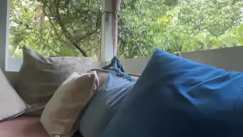 Snapshot of ivysagex chatting on 09.12.25 ivysagex online show from 09.12.25