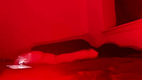 Snapshot of j4ckoff chatting on 11.22.25 j4ckoff online show from 11.22.25