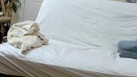 Bootyshows online show from 09.17.25