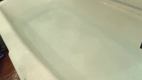 Bootyshows online show from 10.29.25