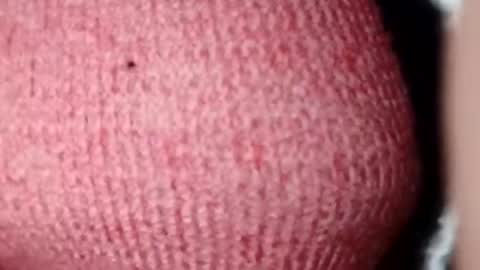 jasspreettt online show from 12.28.24