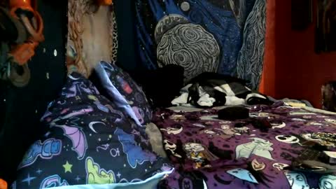 jaxxx666 online show from 02.12.25