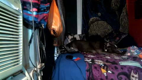 jaxxx666 online show from 02.25.25