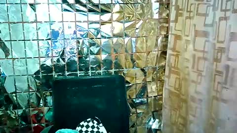 Ale online show from 02.16.25