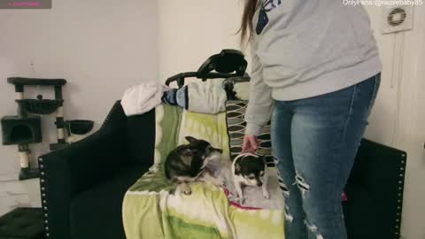 Snapshot of jjjust4fun1985 chatting on 12.15.24 Nicole  Allen online show from 12.15.24