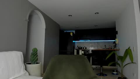 Snapshot of joe_esthetic chatting on 01.16.25 joe_esthetic online show from 01.16.25
