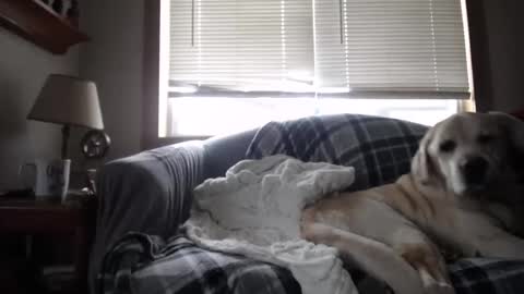 Snapshot of johstondude chatting on 11.05.25 Johston online show from 11.05.25